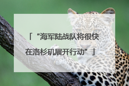 “海军陆战队将很快在洛杉矶展开行动”