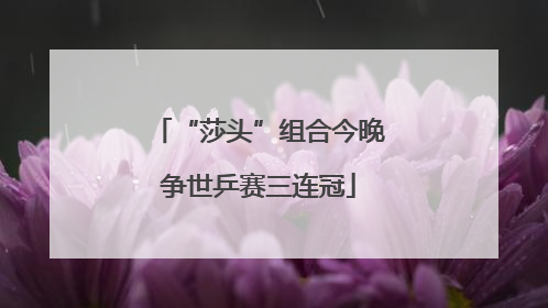 “莎头”组合今晚争世乒赛三连冠