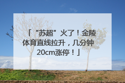 “苏超”火了！金陵体育直线拉升，几分钟20cm涨停！