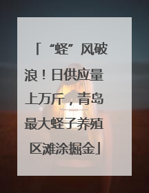 “蛏”风破浪！日供应量上万斤，青岛最大蛏子养殖区滩涂掘金