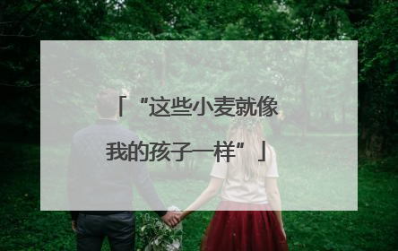 “这些小麦就像我的孩子一样”