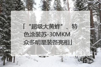 “超级大黄蜂”、特色涂装苏-30MKM 众多明星装备亮相