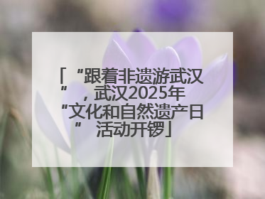 “跟着非遗游武汉”，武汉2025年“文化和自然遗产日” 活动开锣