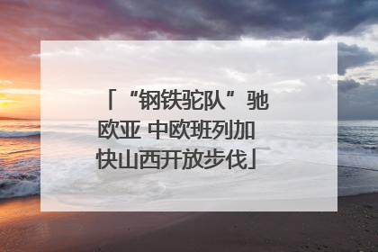 “钢铁驼队”驰欧亚 中欧班列加快山西开放步伐