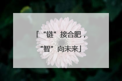 “链”接合肥，“智”向未来
