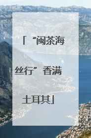 “闽茶海丝行”香满土耳其