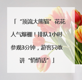 “顶流大熊猫”花花人气爆棚！排队1小时参观3分钟，游客只敢讲“悄悄话”