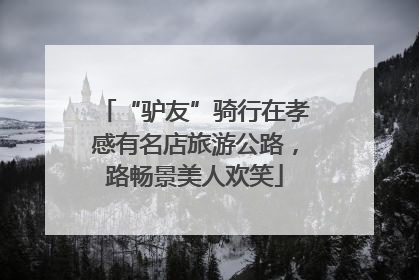 “驴友”骑行在孝感有名店旅游公路，路畅景美人欢笑