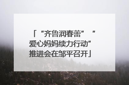 “齐鲁润春蕾”“爱心妈妈续力行动”推进会在邹平召开
