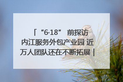 “6·18” 前探访内江服务外包产业园 近万人团队还在不断拓展｜内江东兴“红”在哪⑤