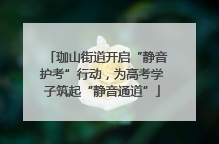 珈山街道开启“静音护考”行动，为高考学子筑起“静音通道”