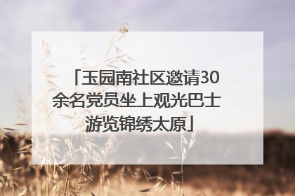 玉园南社区邀请30余名党员坐上观光巴士 游览锦绣太原