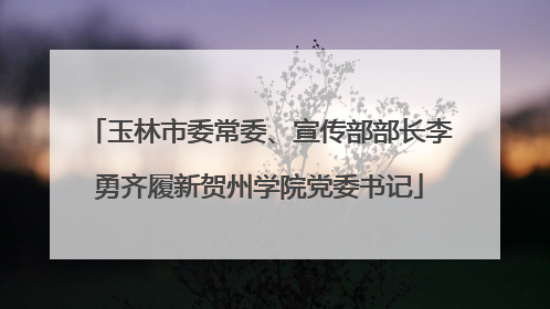 玉林市委常委、宣传部部长李勇齐履新贺州学院党委书记
