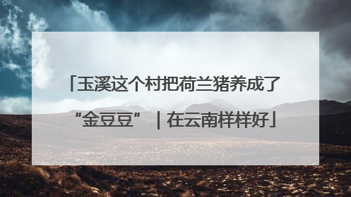 玉溪这个村把荷兰猪养成了“金豆豆”｜在云南样样好