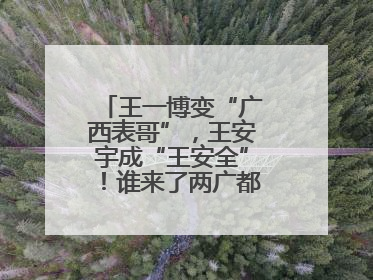 王一博变“广西表哥”，王安宇成“王安全”！谁来了两广都得“腌入味”