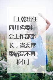 王乾出任四川省委社会工作部部长，省委常委靳磊不再兼任