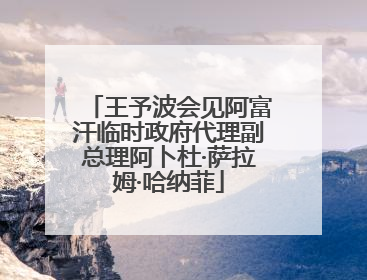 王予波会见阿富汗临时政府代理副总理阿卜杜·萨拉姆·哈纳菲