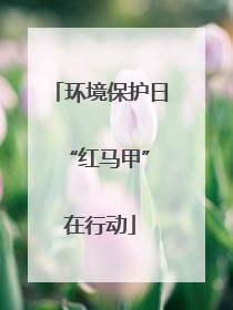 环境保护日 “红马甲”在行动