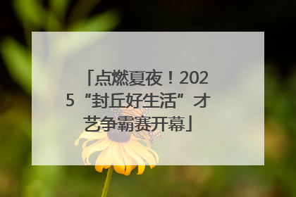 点燃夏夜！2025“封丘好生活”才艺争霸赛开幕