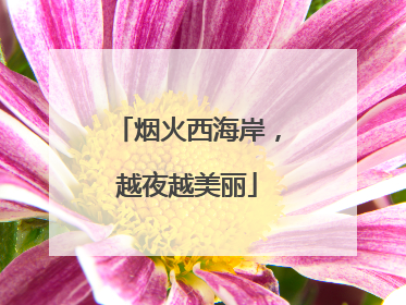烟火西海岸，越夜越美丽