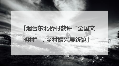 烟台东北桥村获评“全国文明村”：乡村振兴展新貌