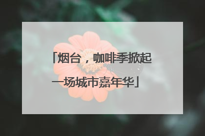 烟台，咖啡季掀起一场城市嘉年华