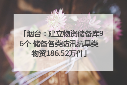 烟台：建立物资储备库96个 储备各类防汛抗旱类物资186.52万件