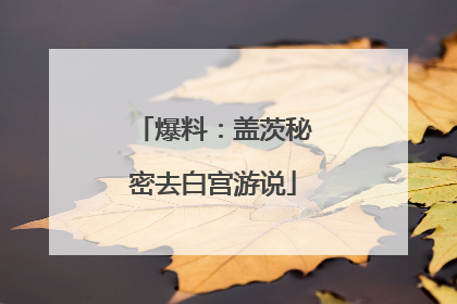 爆料：盖茨秘密去白宫游说