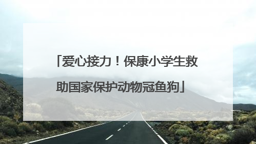 爱心接力！保康小学生救助国家保护动物冠鱼狗