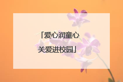 爱心润童心 关爱进校园