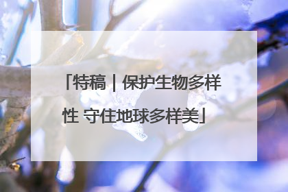 特稿｜保护生物多样性 守住地球多样美