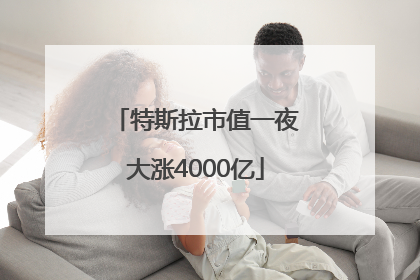 特斯拉市值一夜大涨4000亿