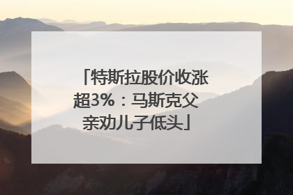 特斯拉股价收涨超3%：马斯克父亲劝儿子低头