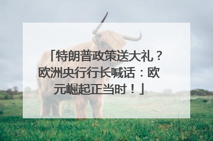 特朗普政策送大礼？欧洲央行行长喊话：欧元崛起正当时！