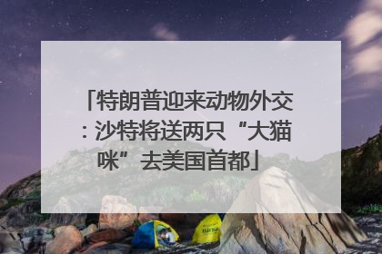 特朗普迎来动物外交：沙特将送两只“大猫咪”去美国首都