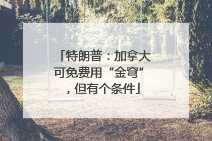 特朗普：加拿大可免费用“金穹”，但有个条件