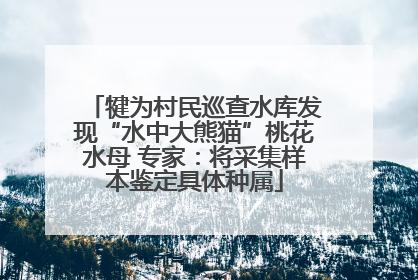犍为村民巡查水库发现“水中大熊猫”桃花水母 专家：将采集样本鉴定具体种属