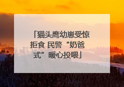 猫头鹰幼崽受惊拒食 民警“奶爸式”暖心投喂