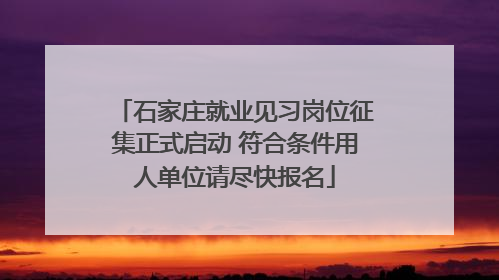 石家庄就业见习岗位征集正式启动 符合条件用人单位请尽快报名