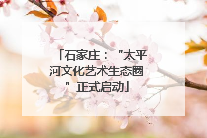 石家庄：“太平河文化艺术生态圈”正式启动