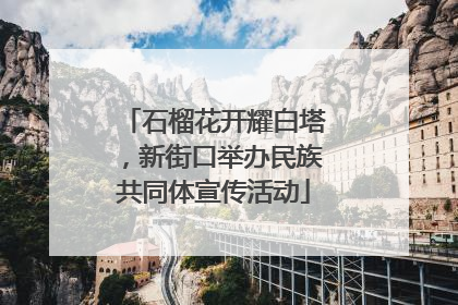 石榴花开耀白塔，新街口举办民族共同体宣传活动