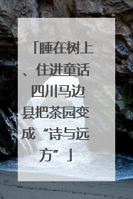 睡在树上、住进童话 四川马边县把茶园变成“诗与远方”