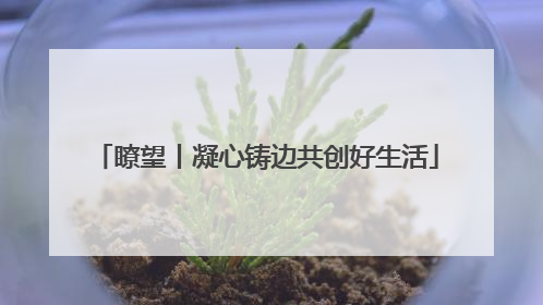 瞭望丨凝心铸边共创好生活
