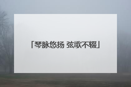 琴脉悠扬 弦歌不辍