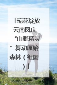琼花绽放 云南凤庆“山野精灵”舞动原始森林（组图）