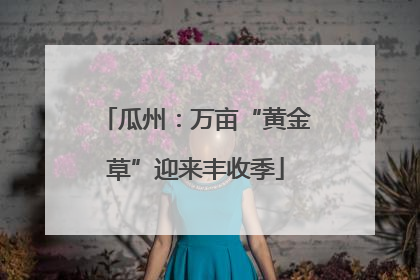 瓜州：万亩“黄金草”迎来丰收季