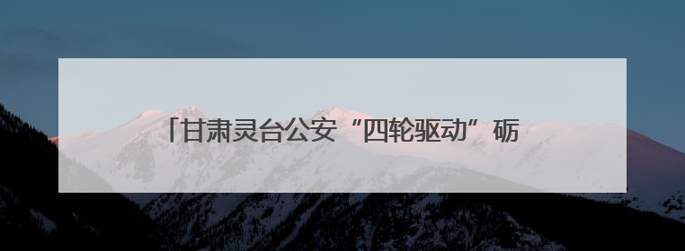 甘肃灵台公安“四轮驱动”砺精兵 战训融合筑牢平安基石