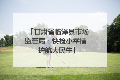 甘肃省临泽县市场监管局：快检小举措 护航大民生