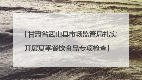 甘肃省武山县市场监管局扎实开展夏季餐饮食品专项检查