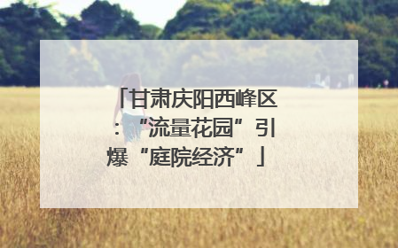 甘肃庆阳西峰区：“流量花园”引爆“庭院经济”